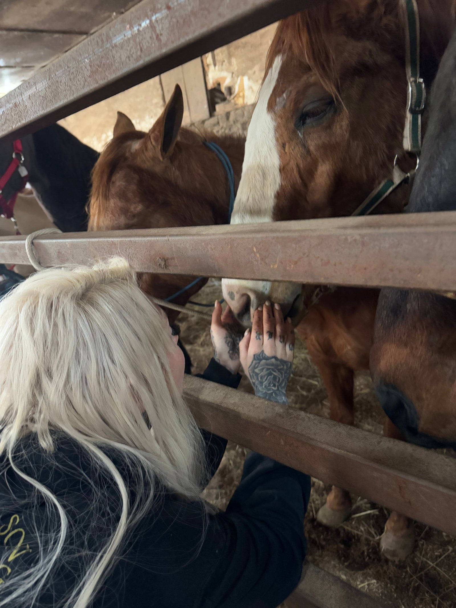 A Day of Hope and Heartbreak: Preparing for Auction Day on April 19th