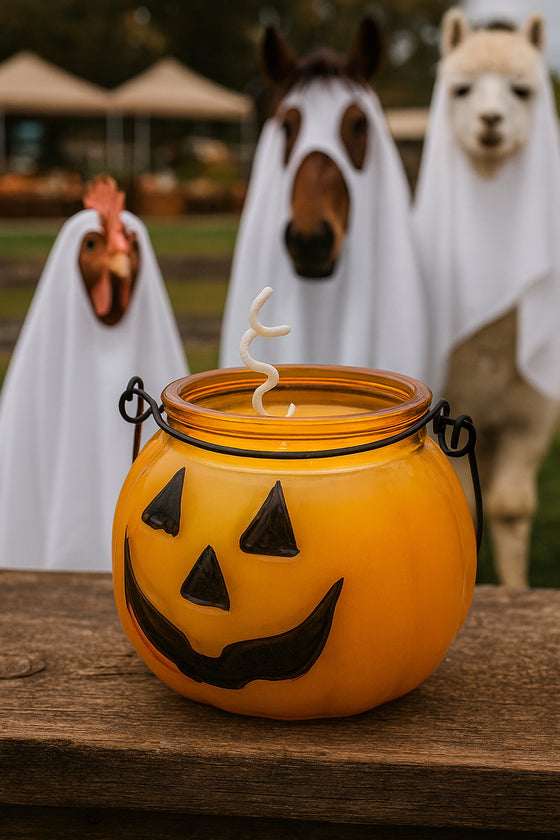 🎃 Pumpkin Combo 🎃