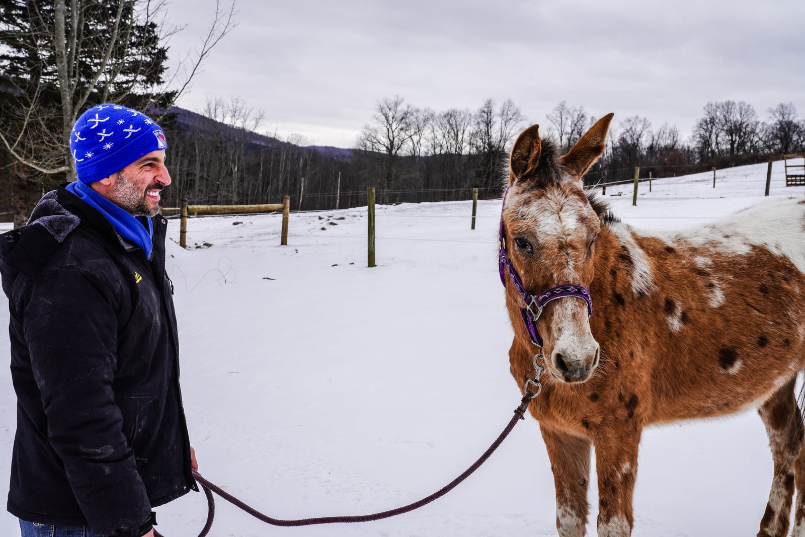 Introducing Karl: Our Adorable Senior Mule with a Special Charm!