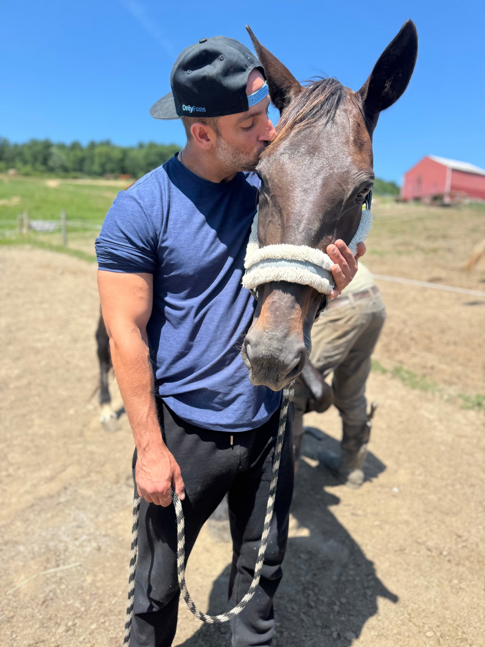 The Foundation of Healing: Why Regular Farrier Care is Essential