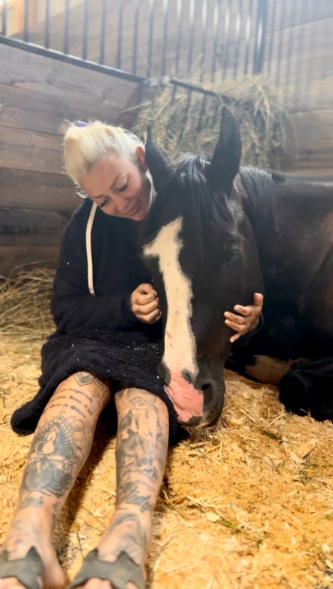 Why the Horse-Human Bond Is Pure Magic (and a Little Bit of Science)