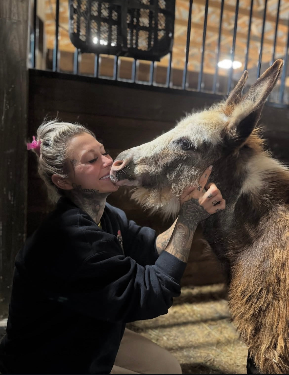 The Heartbreaking Journey of Forgotten Foals and Donkeys ❤️🐾