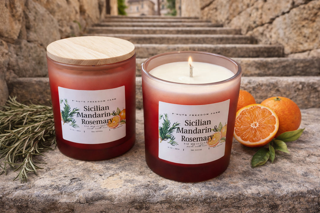 10 oz Handmade Soy Wax Candles