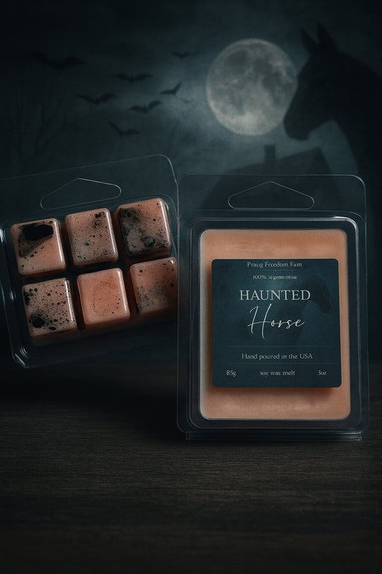 Halloween Soy Wax Melt Bundle
