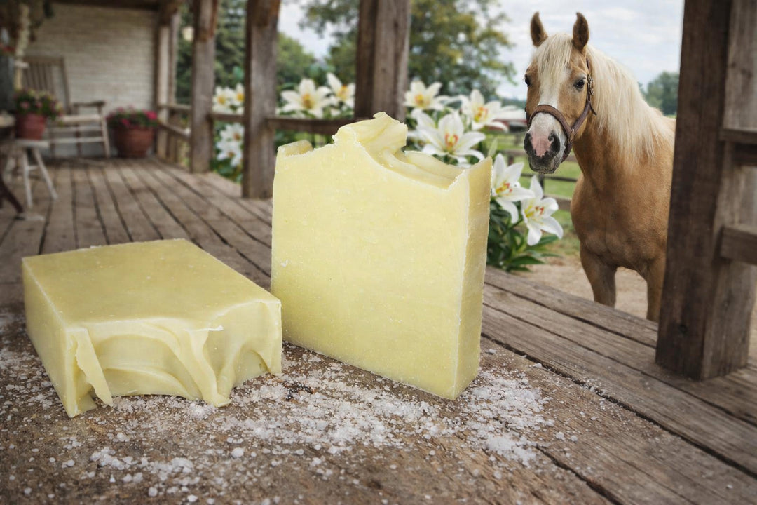 🌿 Organic Hemp Seed Oil Soap