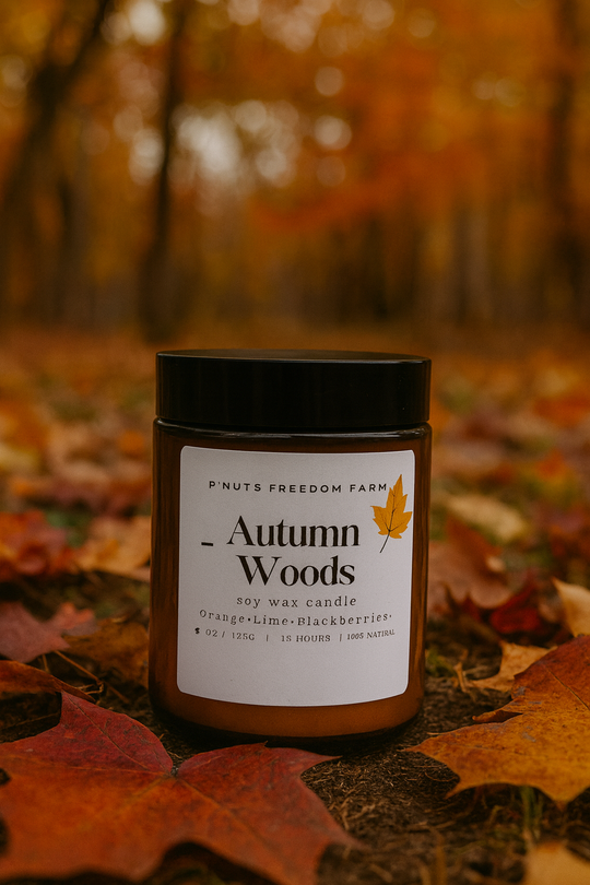 🍁 Fall Candle Trio 🍁