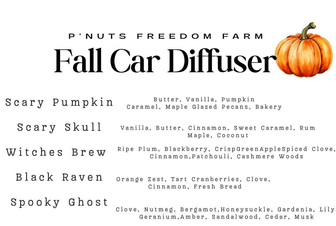 🎃 Fall Car Diffusers 👻