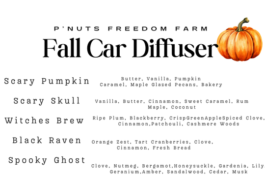 🎃 Fall Car Diffusers 👻